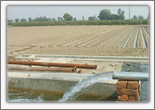 Agricultural Irrigation in Pakistan
