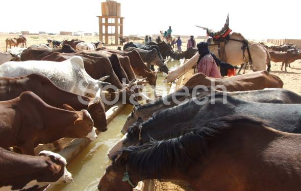 Mali Solar Livestock Watering Project