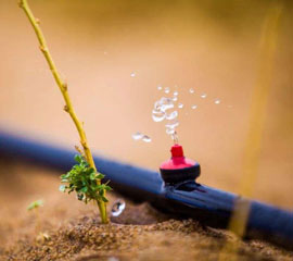 Solar Irrigation