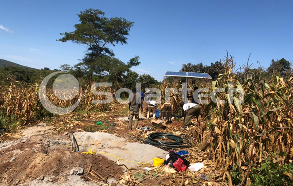 An extremely dry corn field is being irrigated by Solartech solar water pump system