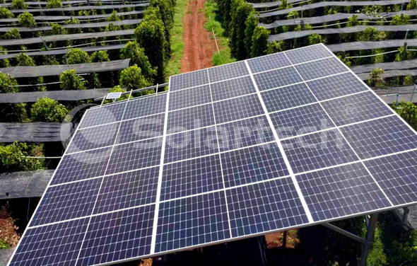 A pepper plantation located at Cambodia installed Solartech solar deep well pump system to meet the upcoming dry season.