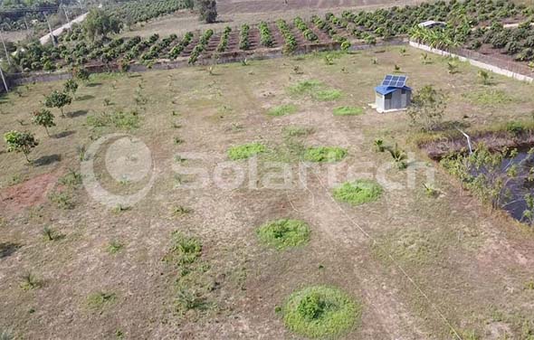 Small Solar Irrigation System Plays A Key Role In Battambang Farm