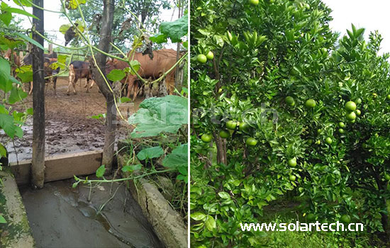 Solar Pumping System Effect
