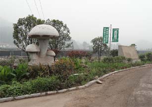 Mushroom cultivation base