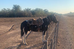 solar livestock irrigation