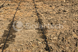 solar irrigation